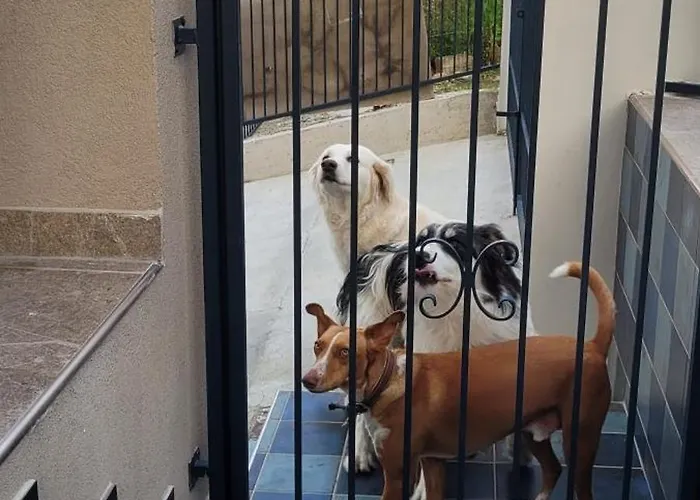 Vendégház Domus Augustea Agrigento