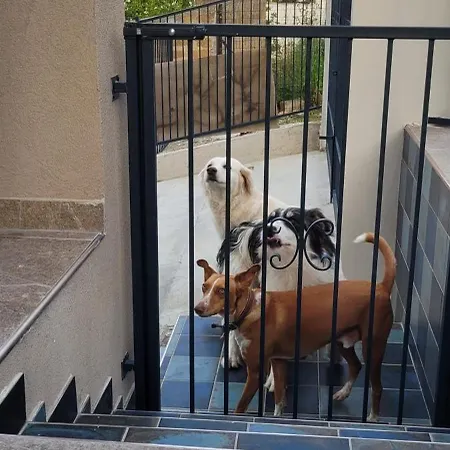 게스트하우스 Domus Augustea 아그리젠토